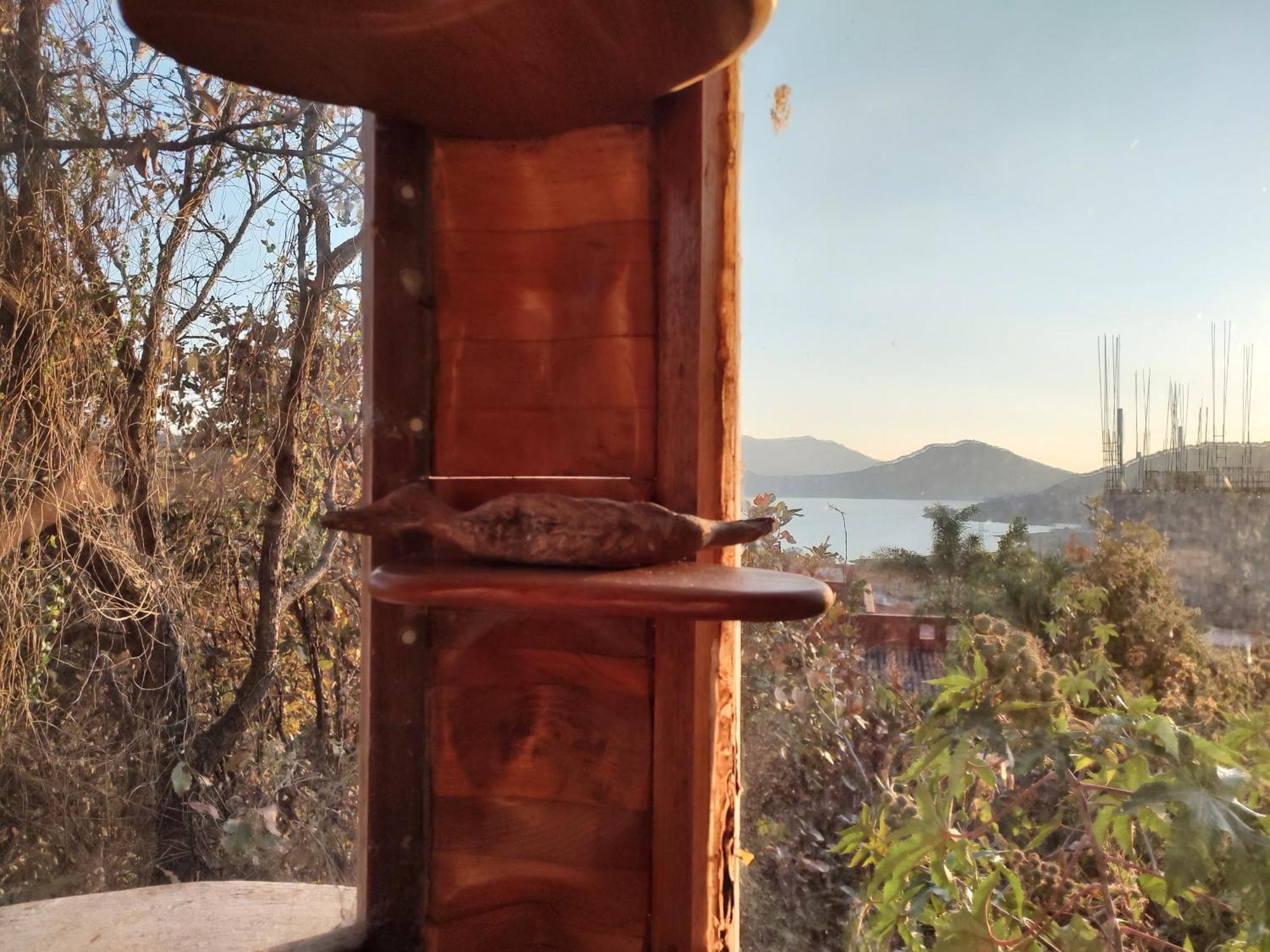 El Encinal De Las Flores バジェ・デ・ブラボ 部屋 写真